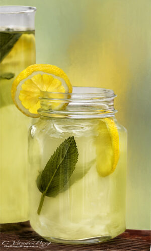 Lemonade with mint and lemon slices | photography, images, and art for hotels, office buildings, homes, restaurants, hospitals, and shopping malls