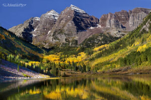 Field of Yellow Aspen and the Maroon Bells reflected in Maroon Lake | mountains, fall, autumn, Colorado | photography, images, and art for hotels, office buildings, homes, restaurants, hospitals, and shopping malls