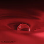 Red Water Drop | photography, images, and art for hotels, office buildings, homes, restaurants, hospitals, and shopping malls