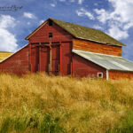 Red Barn in a field on a sunny day | photography, images, and art for hotels, office buildings, homes, restaurants, hospitals, and shopping malls