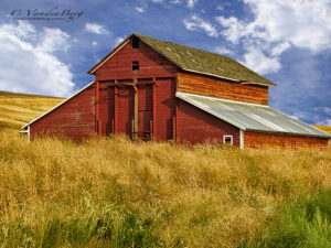 Red Barn in a field on a sunny day | photography, images, and art for hotels, office buildings, homes, restaurants, hospitals, and shopping malls