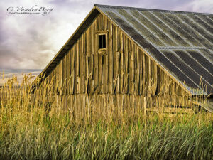 Old wood barn in a field | photography, images, and art for hotels, office buildings, homes, restaurants, hospitals, and shopping malls
