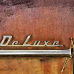 Side of an old car with weeds stuck in the door | photography, images, and art for hotels, office buildings, homes, restaurants, hospitals, and shopping malls