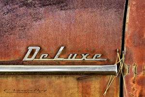 Side of an old car with weeds stuck in the door | photography, images, and art for hotels, office buildings, homes, restaurants, hospitals, and shopping malls