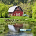 Hood Canal Barn reflected in a pond | photography, images, and art for hotels, office buildings, homes, restaurants, hospitals, and shopping malls