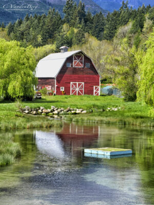 Hood Canal Barn reflected in a pond | photography, images, and art for hotels, office buildings, homes, restaurants, hospitals, and shopping malls