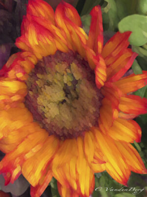Artistic Orange Sunflower | photography, images, and art for hotels, office buildings, homes, restaurants, hospitals, and shopping malls
