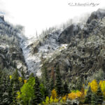 Snowy mountain with yellow aspen trees | photography, images, and art for hotels, office buildings, homes, restaurants, hospitals, and shopping malls