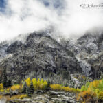 Snowy mountain with fall trees | photography, images, and art for hotels, office buildings, homes, restaurants, hospitals, and shopping malls