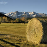 Hay Bales in western Colorado near the Dallas Divide | photography, images, and art for hotels, office buildings, homes, restaurants, hospitals, and shopping malls