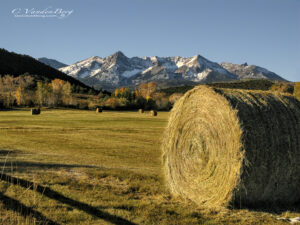 Hay Bales in western Colorado near the Dallas Divide | photography, images, and art for hotels, office buildings, homes, restaurants, hospitals, and shopping malls