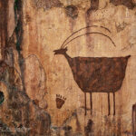 Rock Art Panel with Deer and Paw Print | photography, images, and art for hotels, office buildings, homes, restaurants, hospitals, and shopping malls