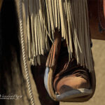 Boot in a Stirrup | photography, images, and art for hotels, office buildings, homes, restaurants, hospitals, and shopping malls