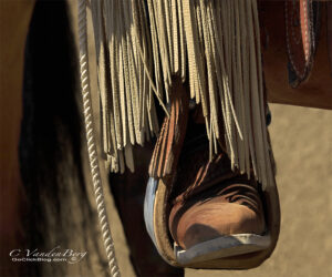 Boot in a Stirrup | photography, images, and art for hotels, office buildings, homes, restaurants, hospitals, and shopping malls