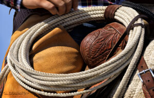 Cowboy and Rope | photography, images, and art for hotels, office buildings, homes, restaurants, hospitals, and shopping malls