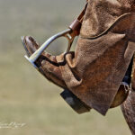 Boot in a Stirrup | photography, images, and art for hotels, office buildings, homes, restaurants, hospitals, and shopping malls