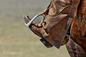 Boot in a Stirrup | photography, images, and art for hotels, office buildings, homes, restaurants, hospitals, and shopping malls
