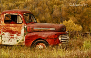 Old Red Truck sitting in a field in the fall | photography, images, and art for hotels, office buildings, homes, restaurants, hospitals, and shopping malls