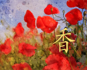 Red Poppies Watercolor | photography, images, and art for hotels, office buildings, homes, restaurants, hospitals, and shopping malls