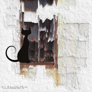 Artistic Kitty on Windowsill | photography, images, and art for hotels, office buildings, homes, restaurants, hospitals, and shopping malls