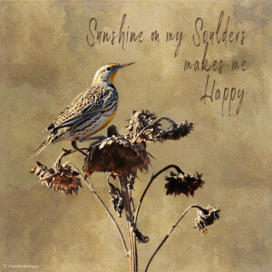 Sunshine on my Shoulders | photography, images, and art for hotels, office buildings, homes, restaurants, hospitals, and shopping malls