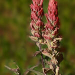 Paintbrush | photography, images, and art for hotels, office buildings, homes, restaurants, hospitals, and shopping malls