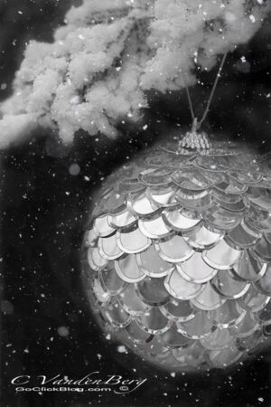 Silver Ornament Hanging on a Tree with Snow | photography, images, and art for hotels, office buildings, homes, restaurants, hospitals, and shopping malls