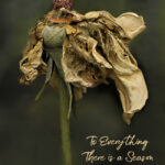 To Everything There is a Season | photography, images, and art for hotels, office buildings, homes, restaurants, hospitals, and shopping malls