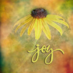 Daisy with Joy | photography, images, and art for hotels, office buildings, homes, restaurants, hospitals, and shopping malls