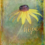 Daisy with Hope | photography, images, and art for hotels, office buildings, homes, restaurants, hospitals, and shopping malls