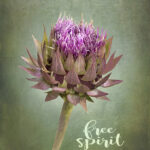 Thistle | photography, images, and art for hotels, office buildings, homes, restaurants, hospitals, and shopping malls