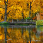 Hudson Gardens Bridge | photography, images, and art for hotels, office buildings, homes, restaurants, hospitals, and shopping malls