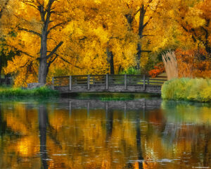 Hudson Gardens Bridge | photography, images, and art for hotels, office buildings, homes, restaurants, hospitals, and shopping malls