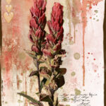 Paintbrush | photography, images, and art for hotels, office buildings, homes, restaurants, hospitals, and shopping malls