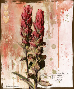 Paintbrush | photography, images, and art for hotels, office buildings, homes, restaurants, hospitals, and shopping malls