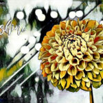 Zinnia | photography, images, and art for hotels, office buildings, homes, restaurants, hospitals, and shopping malls