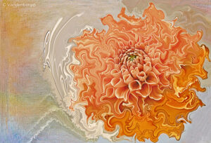 Creative Zinnia | photography, images, and art for hotels, office buildings, homes, restaurants, hospitals, and shopping malls